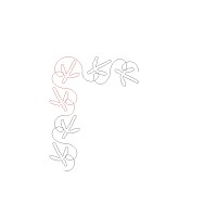 turkey tracks brd crn 001